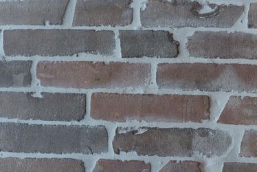 Auckland Castle IWF (3)