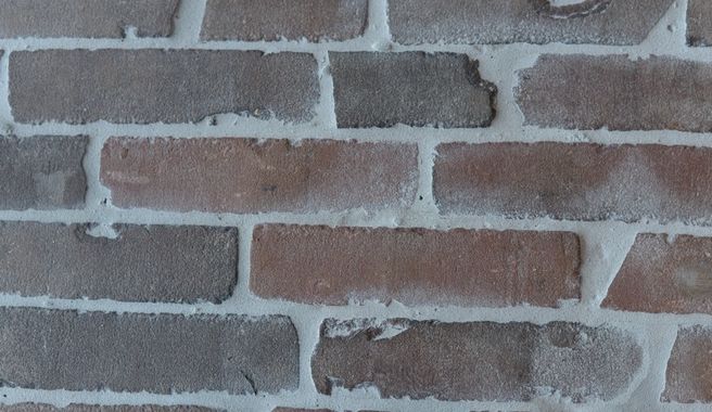 Auckland Castle IWF (3)