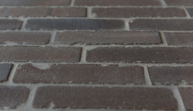 Portland Castle IWF (2)