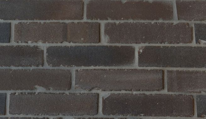 Portland Castle IWF (3)